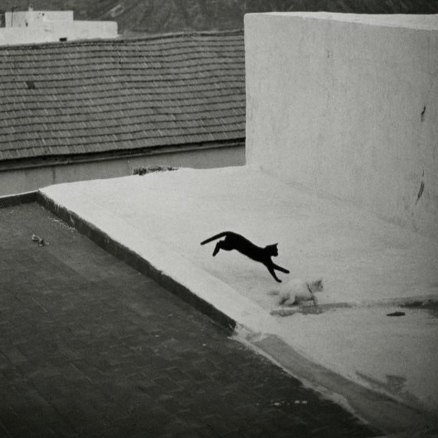 Fotograf&iacute;a Alfonos Madrid